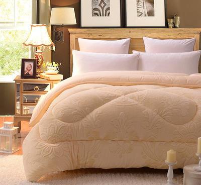 【保暖加厚雅麗絨冬被 雙人超細纖維棉被 秋冬被子被芯床上用品批】價格_廠家_圖片 -